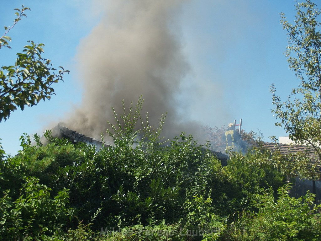 Gartenlaube in Vollbrand Koeln Poll Im Gremberger Waeldchen P105.JPG